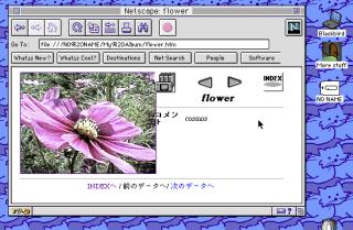 A screenshot of Netscape 3 running in MacOS 7.5 showing a photo of a flower with the title “flower”