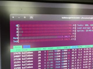 htop showing both 4 GB of RAM and swap completely maxed out