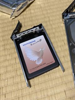 A photo of a 2.5 SATA SSD in a Dell drive caddy. The drive has a photo of a dove on it and the text FATTYDOVE Racing 2.5 SATA III SOLID STATE DRIVE