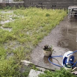 A photo of a garden, flooded with water